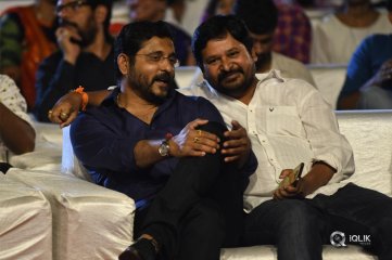 Nela Ticket Movie Audio Launch Photos